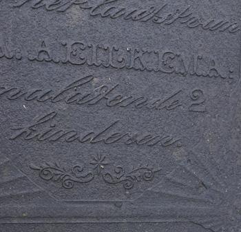 Oosterwijtwerd D1 detail
